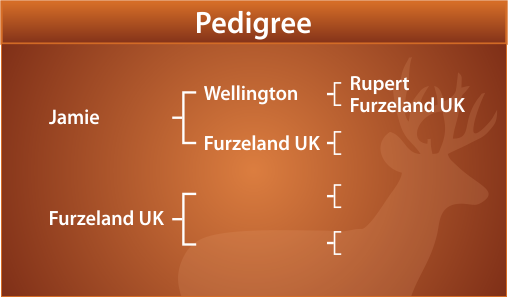 Jamieson Pedigree