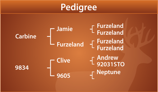 Sebastian Pedigree
