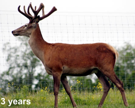 Atlas at 3 years Atlas at 3 years