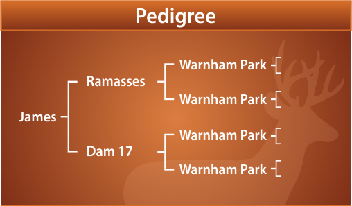 James Pedigree