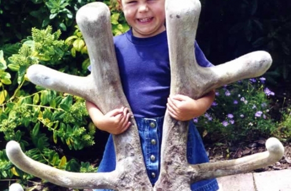 James at 8 years James at 8 years