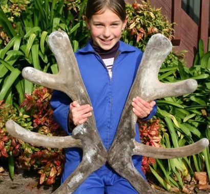 James ll at 4 years James ll at 4 years