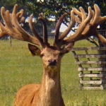 Son of Brian @ 4 yrs